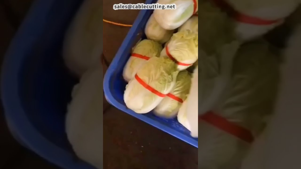 Обвязочная машина для лапши, капусты и перчаток | Оборудование для общепита #factory #machine #diy