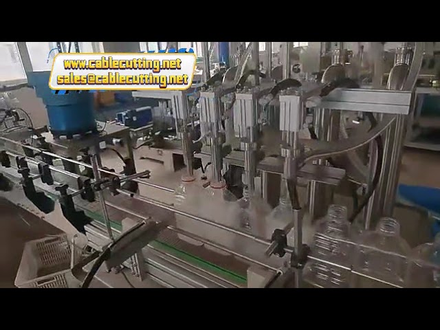 Поршневая фасовочная машина для жидкостей и паст: от шампуня до томатной пасты