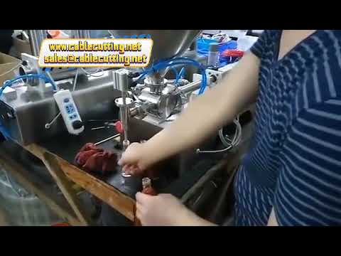 Универсальная фасовочная машина для вязких продуктов: моющих средств, йогурта, соусов (10-5000 мл) с одной или двумя головками